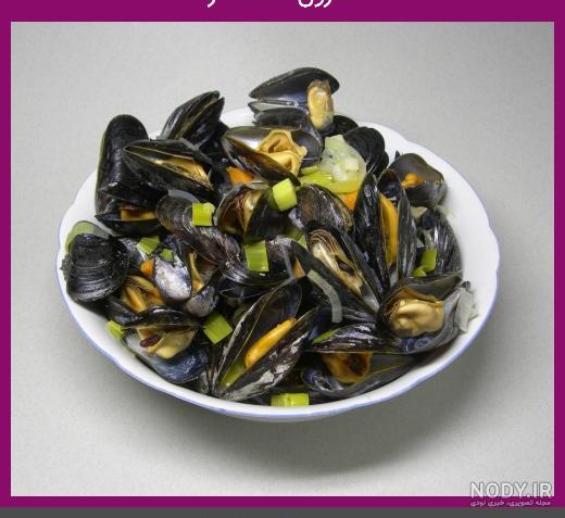  عکس حلزون صدف دار