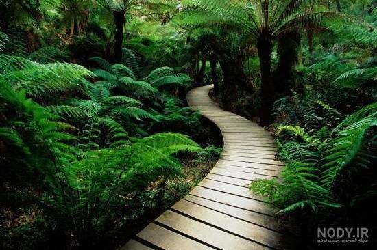 عکس طبیعت زیبا برای پروفایل