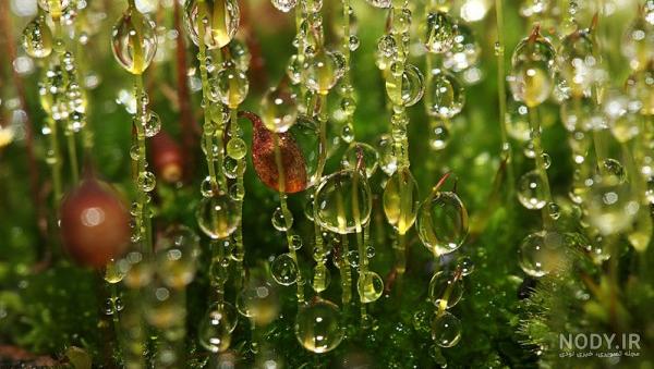  عکس قطره های باران