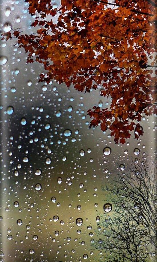  عکس قطره های باران