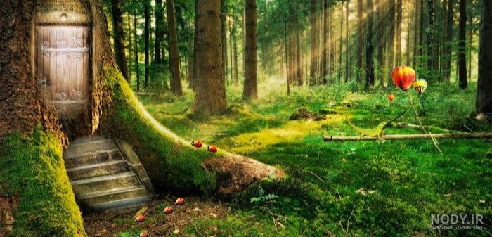 عکس خفن عکس دشت زیبا