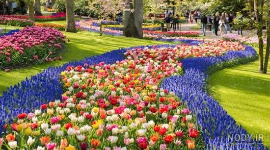 عکس طبیعت زیبا برای پروفایل