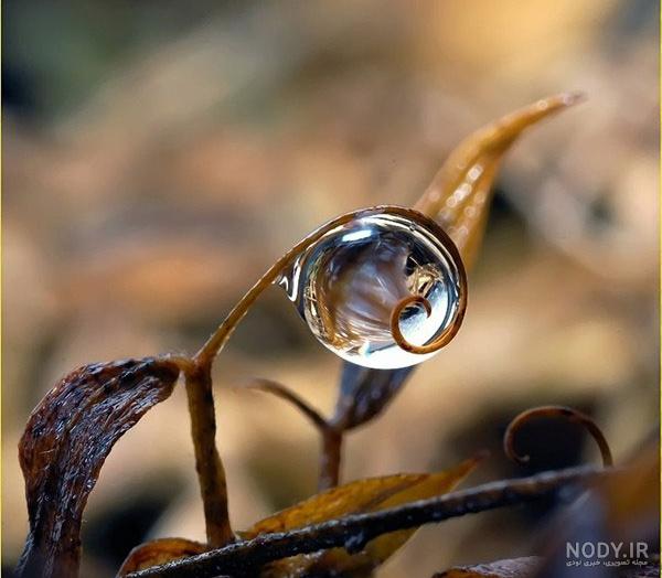  عکس قطره های باران