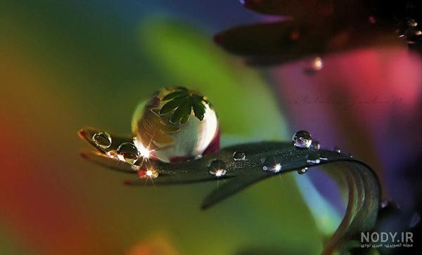  عکس قطره های باران