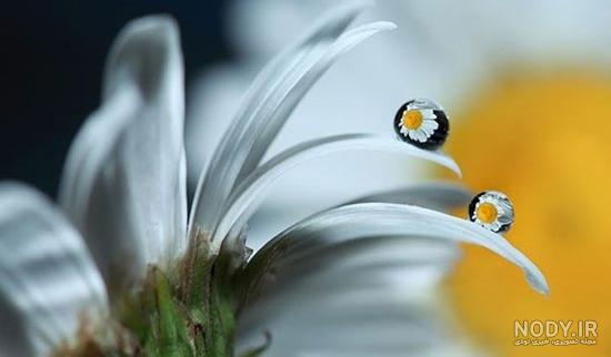  عکس قطره های باران