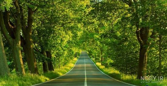 عکس خفن عکس دشت زیبا