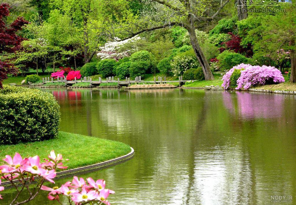 عکس طبیعت زیبا برای پروفایل