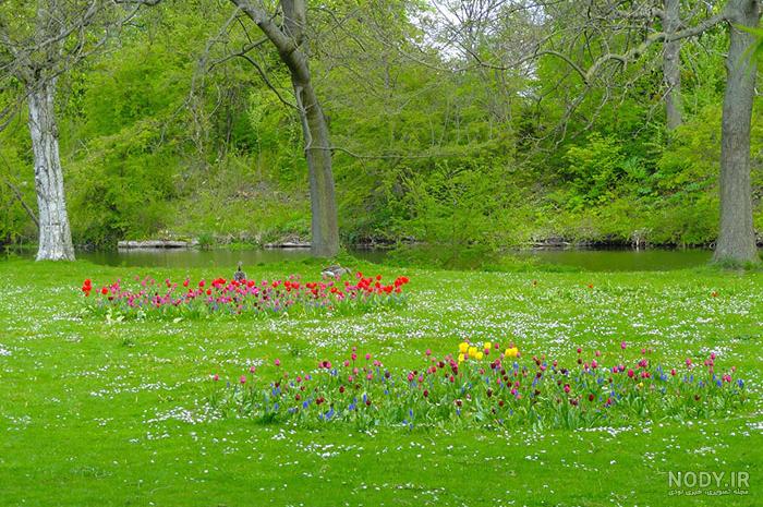 عکس طبیعت زیبا برای پروفایل