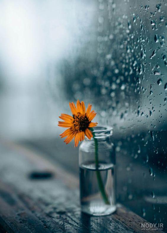  عکس قطره های باران