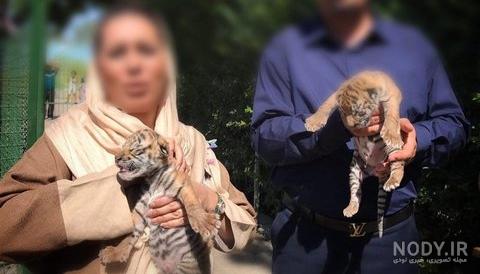  عکس توله ببر زیبا