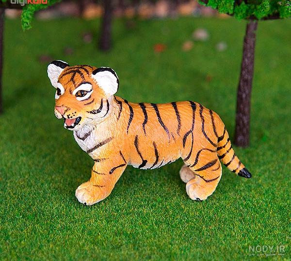  عکس توله ببر زیبا