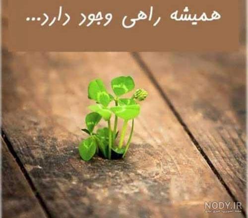 آهنگ امید به زندگی