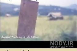 آهنگ بی کلام جشن عاطفه ها آهنگ بی کلام جشن عاطفه ها