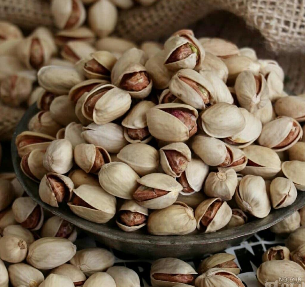 باردهی درخت پسته اکبری باردهی درخت پسته اکبری
