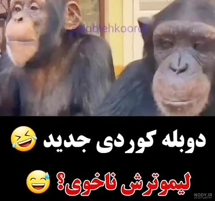 تصاویر طنز کردی