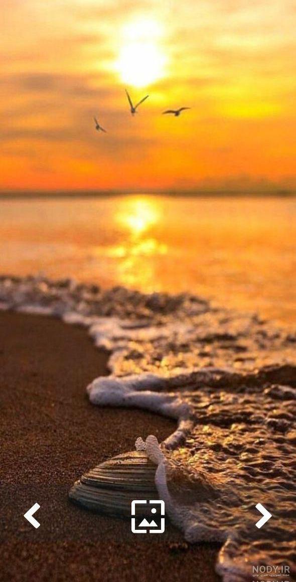تصویر زمینه دریا زنده تصویر زمینه دریا زنده