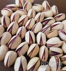 خصوصیات درخت پسته اکبری خصوصیات درخت پسته اکبری