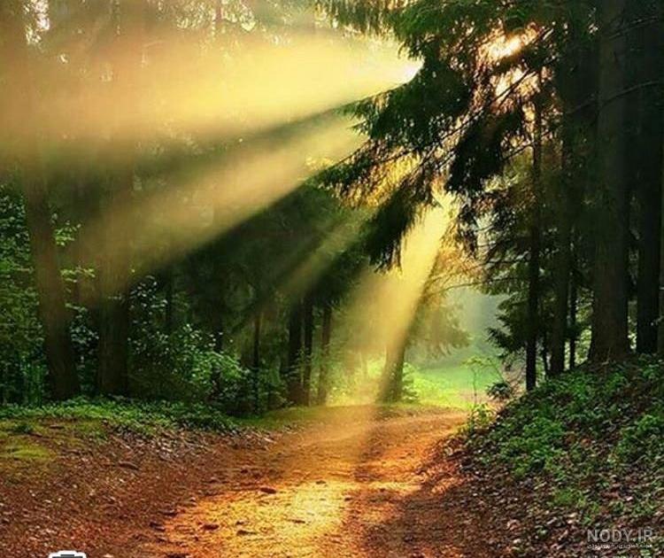 دانلود زیباترین عکسهای طبیعت دانلود زیباترین عکسهای طبیعت
