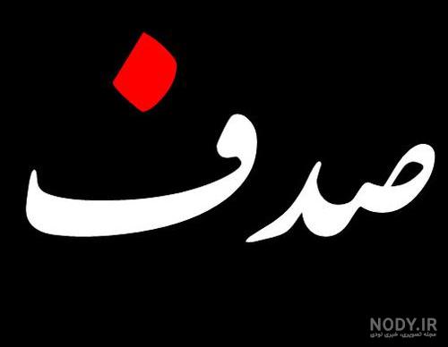 زیباترین صدف جهان
