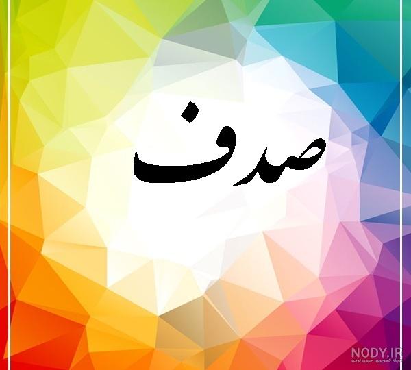صدف های زیبا