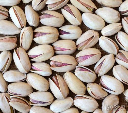 عکس احمد آقایی عکس احمد آقایی