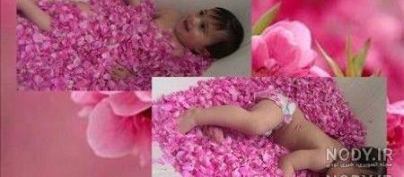 عکس بچه داخل گل محمدی عکس بچه داخل گل محمدی
