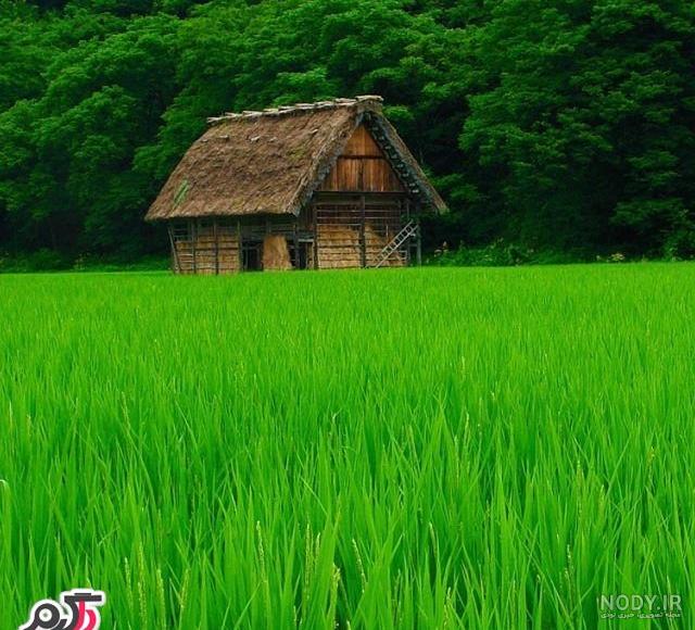 عکس رنگ سبز آبی