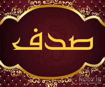 عکس صدف دریا