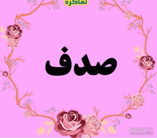 عکس صدف زیبا برای پروفایل عکس صدف زیبا برای پروفایل