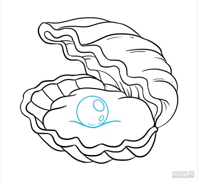 عکس صدف نقاشی شده