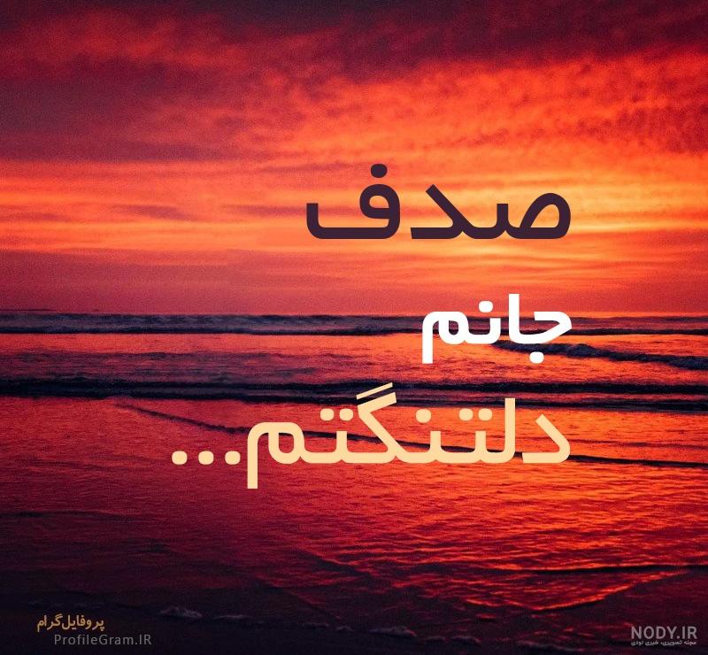 عکس صدف واقعی عکس صدف واقعی