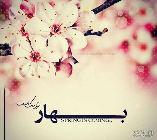 عکس نوشته بهار دوستت دارم عکس نوشته بهار دوستت دارم