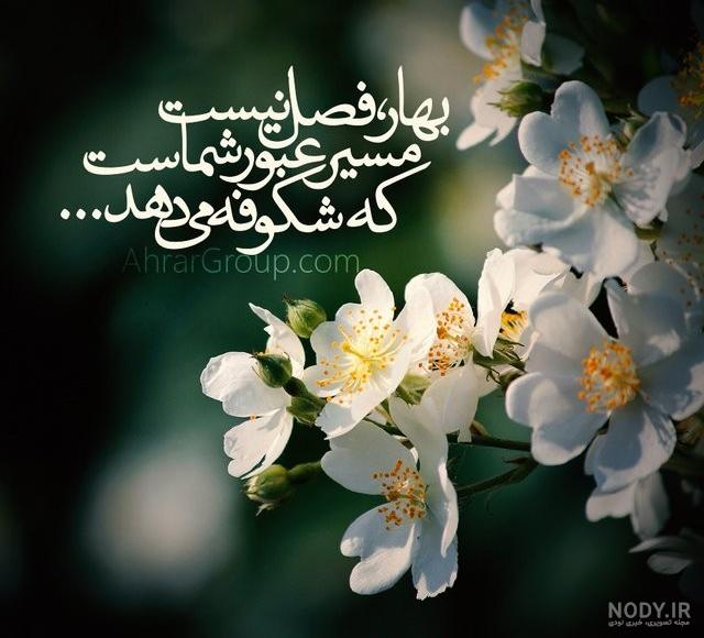 عکس نوشته بهار دوستت دارم عکس نوشته بهار دوستت دارم