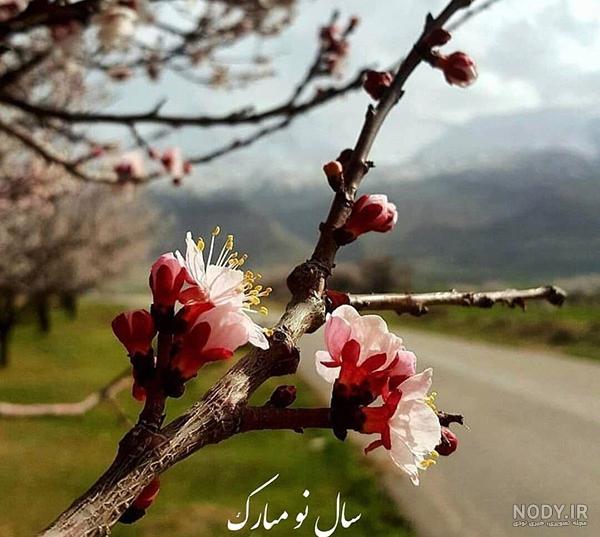 عکس نوشته بهار من تویی عکس نوشته بهار من تویی