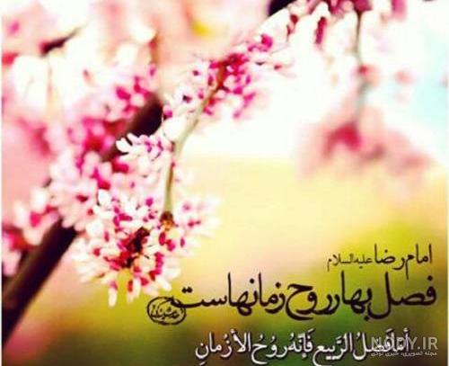 عکس نوشته بهاری زیبا عکس نوشته بهاری زیبا