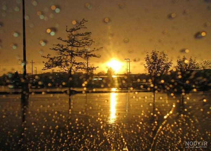 عکس پاییز دلگیر عکس پاییز دلگیر