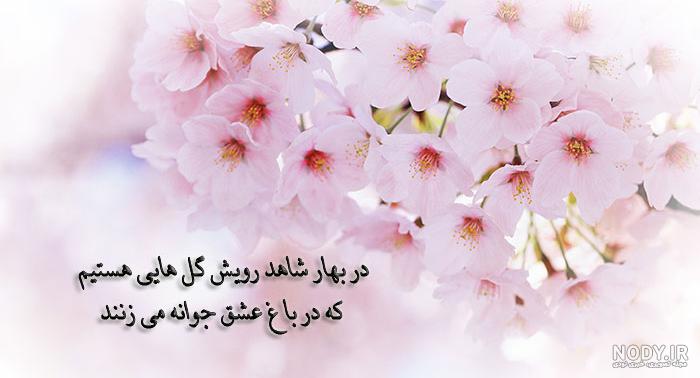 عکس پروفایل بهاری خاص عکس پروفایل بهاری خاص