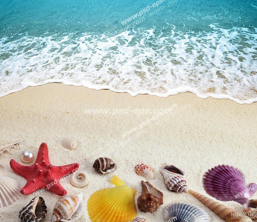 عکس پری دریایی زنده عکس پری دریایی زنده
