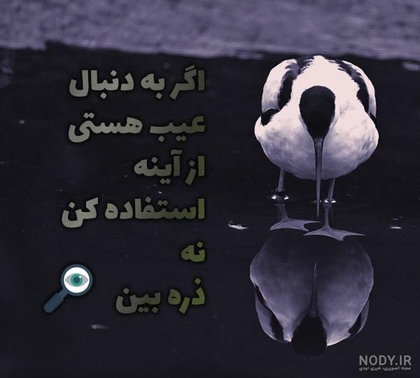 متن شاخ کوتاه متن شاخ کوتاه