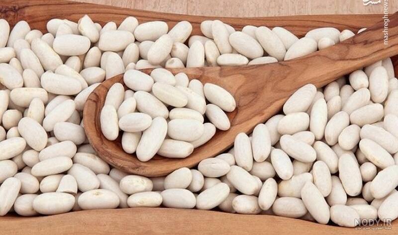 نام علمی لوبیا سفید نام علمی لوبیا سفید