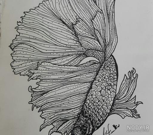 نقاشی صدف آسان