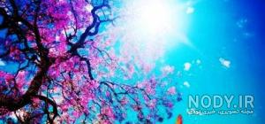 پروفایل بهاری خاص