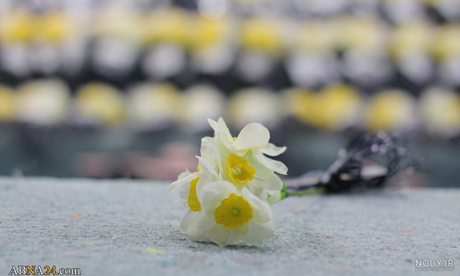 عکس خفن عکس جمکران و گل نرگس