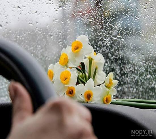 عکس خفن عکس جمکران و گل نرگس