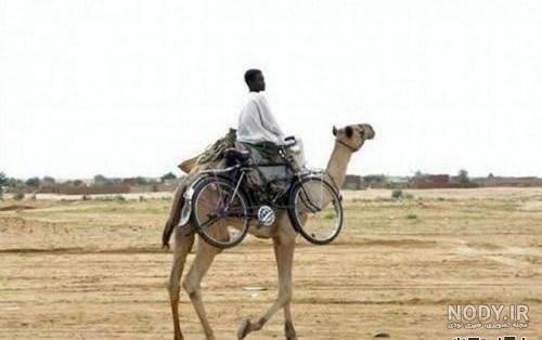 باحال ترین عکس خنده دار
