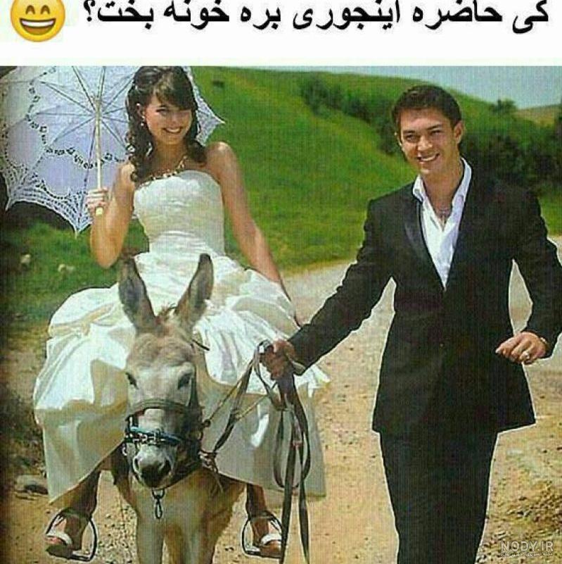 تصاویر بسیار خنده دار و جالب