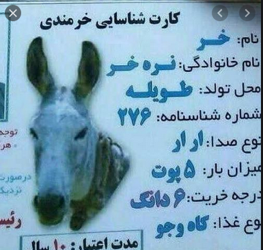 خنده دار ترین عکس جهان