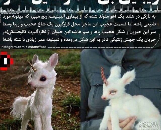 عکس بازیگران چشم ریز ایرانی عکس بازیگران چشم ریز ایرانی