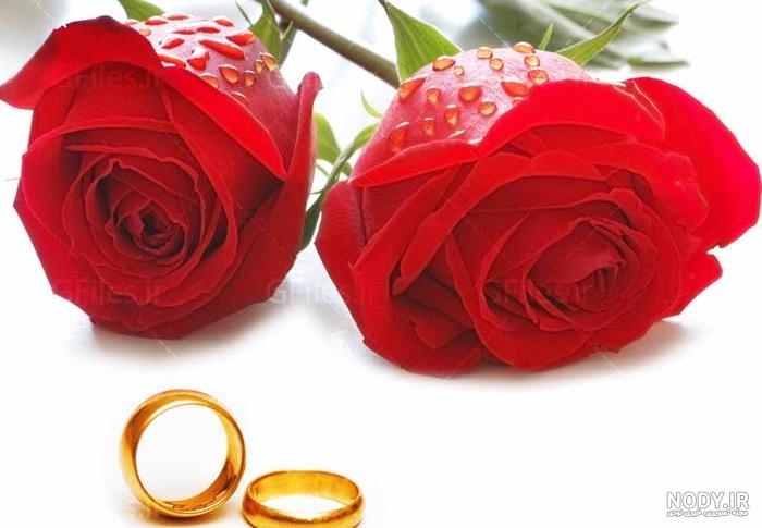 عکس حلقه ازدواج داخل گل عکس حلقه ازدواج داخل گل