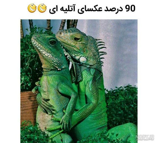 عکس خنده دار دخترانه عکس خنده دار دخترانه
